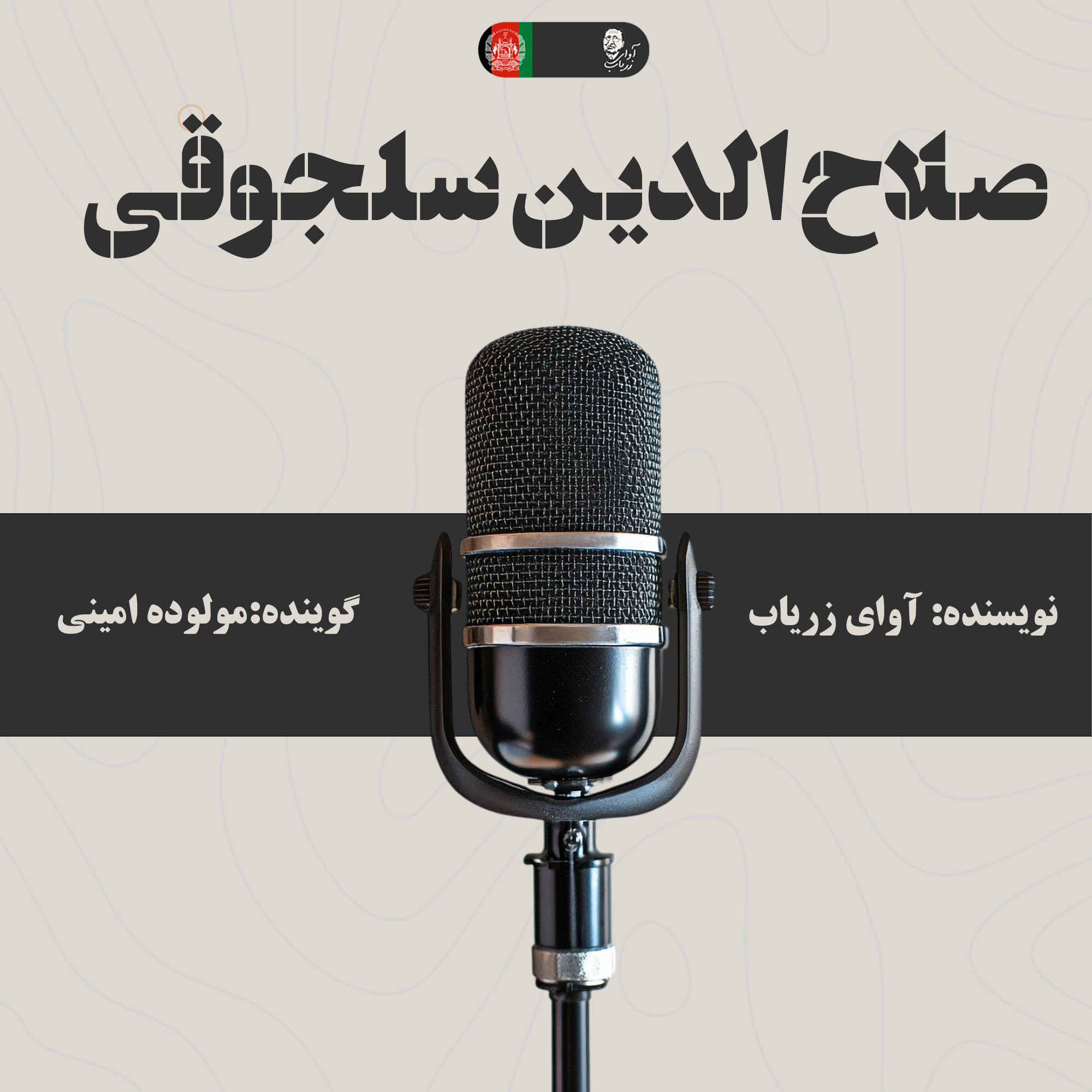 زندگی نامه صلاح الدین سلجوقی